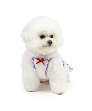 PET PARADISE リサとガスパール エコメイド ワンピース 《チェック》 小型犬 チェック
