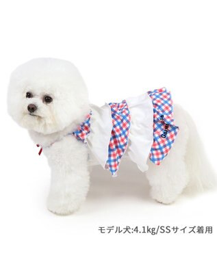 PET PARADISE リサとガスパール エコメイド ワンピース 《チェック》 小型犬 チェック