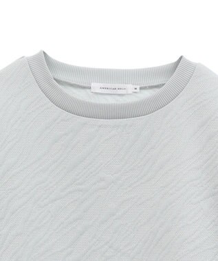 AMERICAN HOLIC ゼブラ柄ジャガードカットプルオーバー Gray