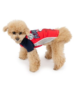 PET PARADISE スヌーピー バレーボール Tシャツ 接触冷感《レッド》 小型犬 レッド