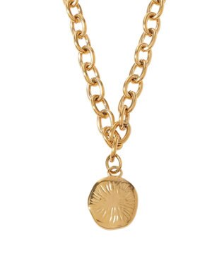 AMERICAN HOLIC 【ステンレス】コイントップチェーンネックレス Gold