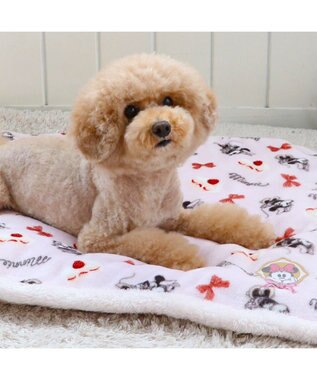 PET PARADISE ディズニーミニーマウス 遠赤外線 ボアマット 《ケーキ柄  》(80×60cm) ケーキ柄