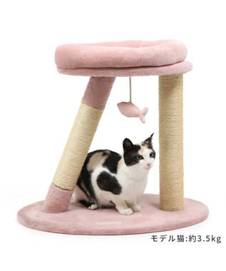 猫 キャットタワー 55cm スリム / PET PARADISE | ファッション通販