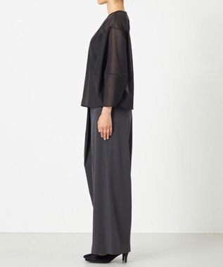 NAVE 【Nave・手洗い可】オーガンジーブラウス ブラック系