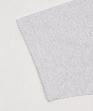 WEGO 別注BENDAVISワンポイントT（SS） アッシュグレー