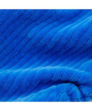 PET PARADISE ディズニー ドナルドダック マリン オーバーオール 小型犬 ブルー