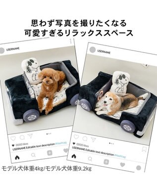 PET PARADISE スヌーピー マイカーカドラー  （92×60cm） Ｌ 小型犬 ブラック