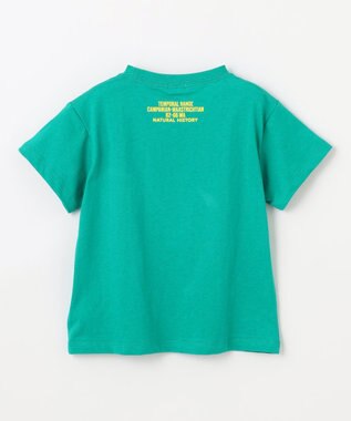 ANY KIDS 恐竜プリント 半袖 Tシャツ グリーン（モササウルス）