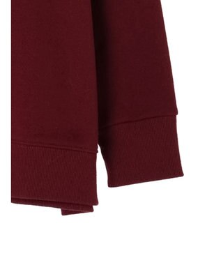 Green Parks Ｄｉｓｎｅｙ／裏起毛フロッキープリントスウェットII Bordeaux