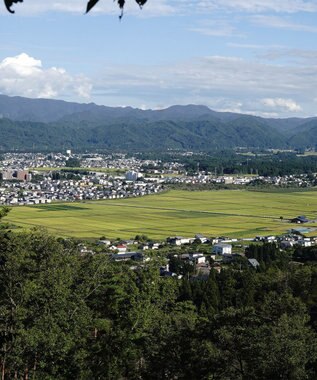 nitorito 【UNISEX】oh.hori ストール yellow