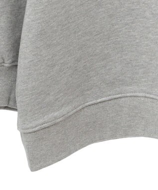 AMERICAN HOLIC ＢＲＵＮＳＷＩＣＫ　ＧＥＯＲＧＩＡ　ＢＩＧスウェット Light Gray Mixture