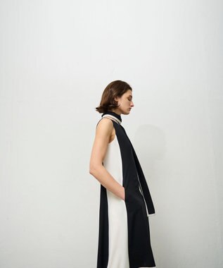 GRACE CONTINENTAL バイカラーフレームドレス ブラック