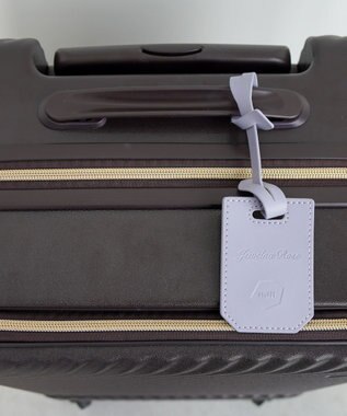 ACE BAGS & LUGGAGE Jewelna Rose HaNT ×Jewelna Rose コラボ スーツケース 機内持ち込み フロントオープン 34L 06820 ジュエルナローズ ダークブラウン