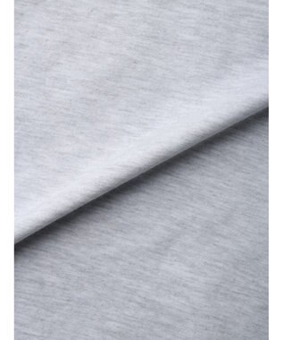 AMERICAN HOLIC ＮＯＮＣＨＡＬＡＮＴ　ＳＴＡＲＩＮＧ　カットチュニック1 Light Gray Mixture