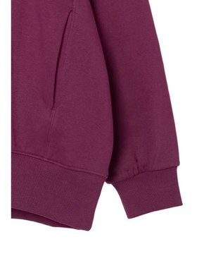 Green Parks ・ＳＵＧＡＲ　ＳＰＯＯＮ　ウラキモウオーバースウェット Plum