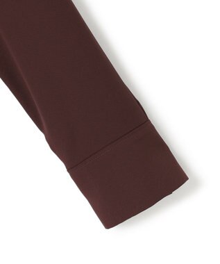 ICB L 【接触冷感・UVケア・速乾・洗える】BackSatinAmunzen バンドカラーブラウス バーガンディ系［WEB限定］