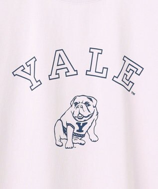 J.PRESS YORK STREET 【UNISEX】YALEブルドックプリント Tシャツ ライラック