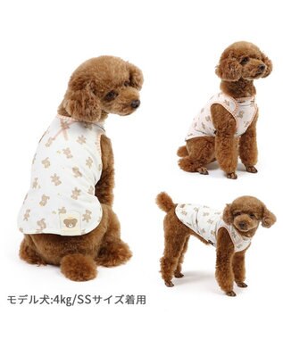 PET PARADISE ペットパラダイス はじめてタンクトップ くまちゃん柄 小型犬 ホワイト