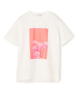 BEIGE， 【洗える・クロワッサン 掲載】PENTAS / オリジナルフォトプリントＴシャツ Turkish bellflower