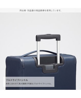 ACE BAGS & LUGGAGE Proteca フィーナRF LTD スーツケース 18L 機内持込 小紋柄 13061 プロテカ ベージュ