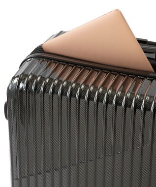 ACE BAGS & LUGGAGE ACE クレスタ スーツケース 7~10泊 83~93Ｌ エキスパンド機能 06318 エース ブラックカーボン