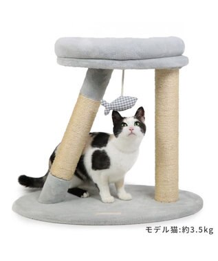 PET PARADISE 猫 キャットタワー 55cm スリム グレー
