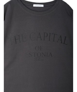 Green Parks インド綿 ＢＩＧサイズアーチロゴ半袖プルオーバー Gray