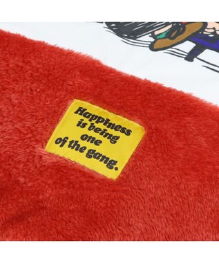 PET PARADISE スヌーピー 遠赤外線 一緒にぽかぽかマット 《赤屋根ハウス》 小型犬 ホワイト×ブラウン