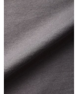 Green Parks インド綿 ＢＩＧサイズアーチロゴ半袖プルオーバー Gray