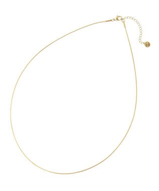 AMERICAN HOLIC ステンレス　シンプルスネークチェーンネックレス Gold