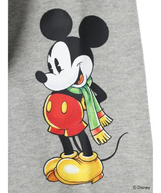 Green Parks Ｄｉｓｎｅｙ／裏毛ハーフＺＩＰスウェットII Bordeaux