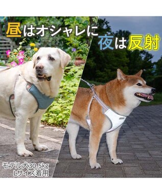 PET PARADISE ペットパラダイス 超反射 切り替え ハーネス＆リード Ｌ 《ブルーグリーン》 ブルーグリーン