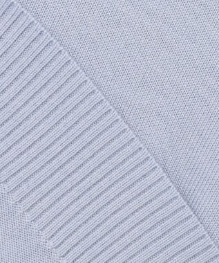 J.PRESS LADIES L 【WEB限定カラーあり・洗える】CLEAR WOOL BLEND ニット 【WEB限定】ライラックブルー系