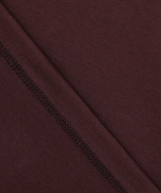 JOSEPH HOMME スビンソフトジャージー　タートルネックカットソー ブラウン系