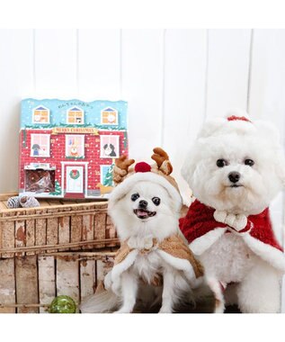 PET PARADISE 2024 クリスマス アドベントカレンダー おやつ 国産 0