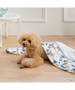 PET PARADISE ディズニー ドナルドダック クール ブランケット ブルー