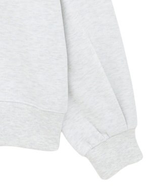 AMERICAN HOLIC カレッジロゴ裏起毛プルオーバー Gray Mixture