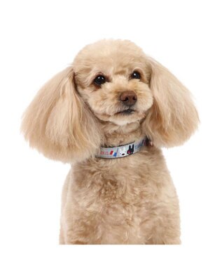 PET PARADISE リサとガスパール リボン付き首輪 《パリ柄》 Ｓ 小型犬 グレー