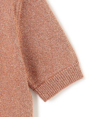 BEIGE， 【洗える】VANDA / ラメ入りクルーネック半袖カーディガン Dark Nude