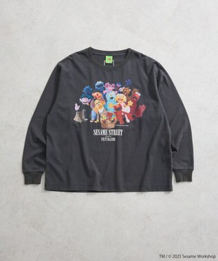 Green Parks セサミストリートミーツフルーツオブザルーム　ロンＴＥＥ