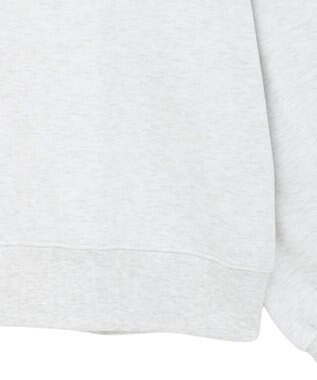 AMERICAN HOLIC カレッジロゴ裏起毛プルオーバー Gray Mixture