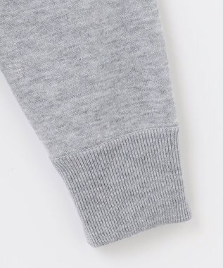 PW CIRCULUS 【MEN】【洗える】ベアスタンドモチーフ ラグランスリーブ クルーネック ニット ライトグレー系