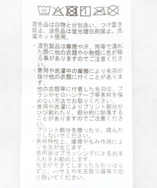 AMERICAN HOLIC カレッジロゴ裏起毛プルオーバー Gray Mixture