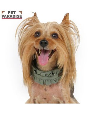 PET PARADISE ペットパラダイス ペタルオリーブ首輪 ３Ｓ
