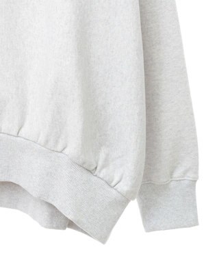 AMERICAN HOLIC ＮＥＢＲＡＳＫＡロゴプリントスウェット② Oatmeal