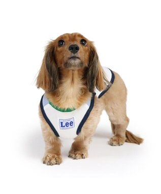 PET PARADISE Lee 接触冷感 タンクトップ《ワーク柄》 小型犬 ホワイト×ネイビー