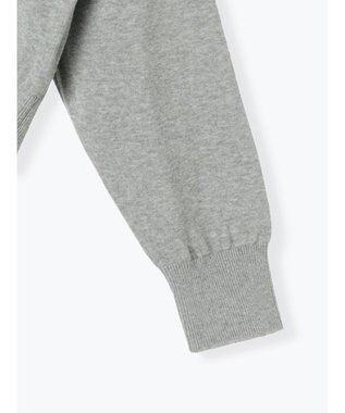 Te chichi コンパクトクルーネックニット【AOYAMA FASHION ASSOCIATION × Te chichi】 グレー