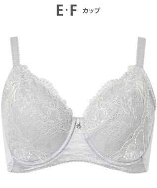 Wing ブラジャー Wing Lesiage バストを小さく見せる 脇すっきり フルカップブラ 【6000シリーズ】 小さく見せるブラ PB6001 ウイング／ワコール