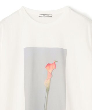 BEIGE， 【洗える・クロワッサン 掲載】PENTAS / オリジナルフォトプリントＴシャツ Calla lily