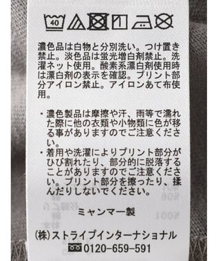 Green Parks 手書き風ロゴＴＥＥ Gray